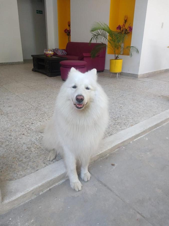Casa De Luna La Dorada Ngoại thất bức ảnh